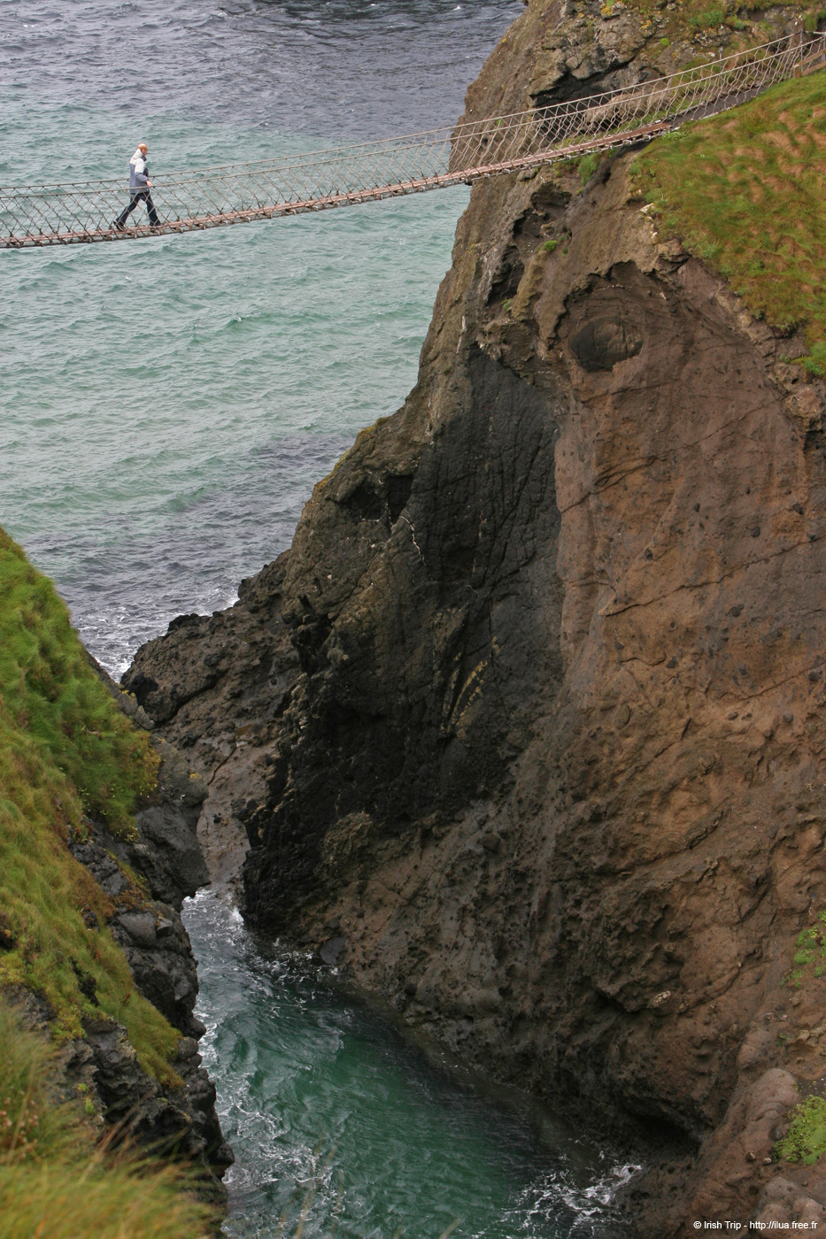20081007_carrickarede15