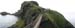 20081007_carrickarede10
