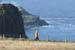 20081008_benbanecliffpath27