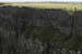 20081008_benbanecliffpath45