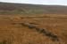20081009_loughauvard1