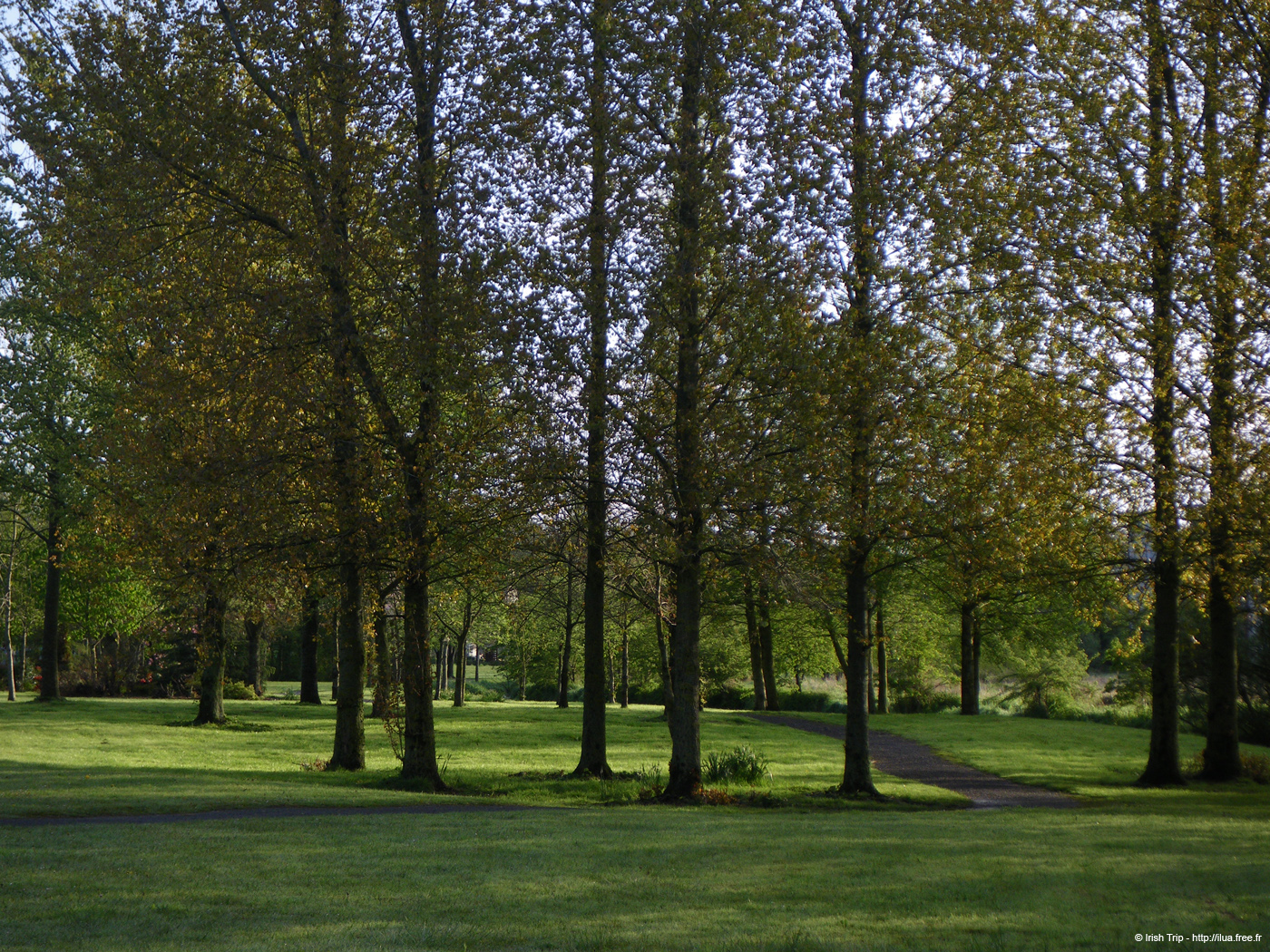 20090427_cavan04