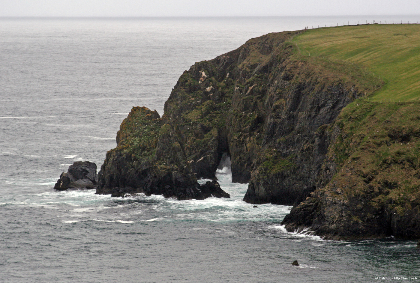 20090427_doonpoint04