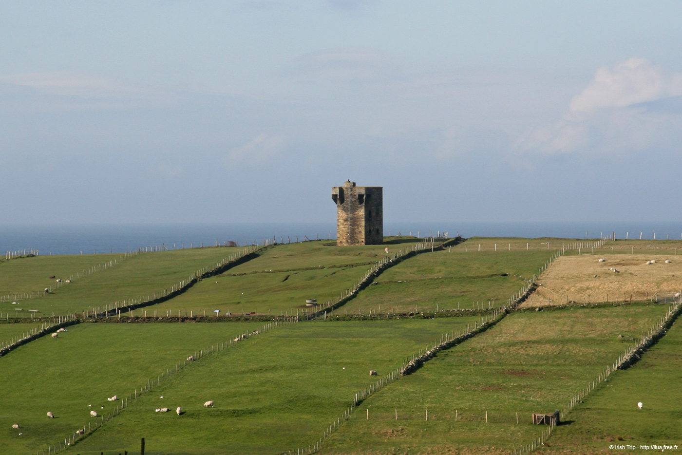 20090428_tharalpoint01