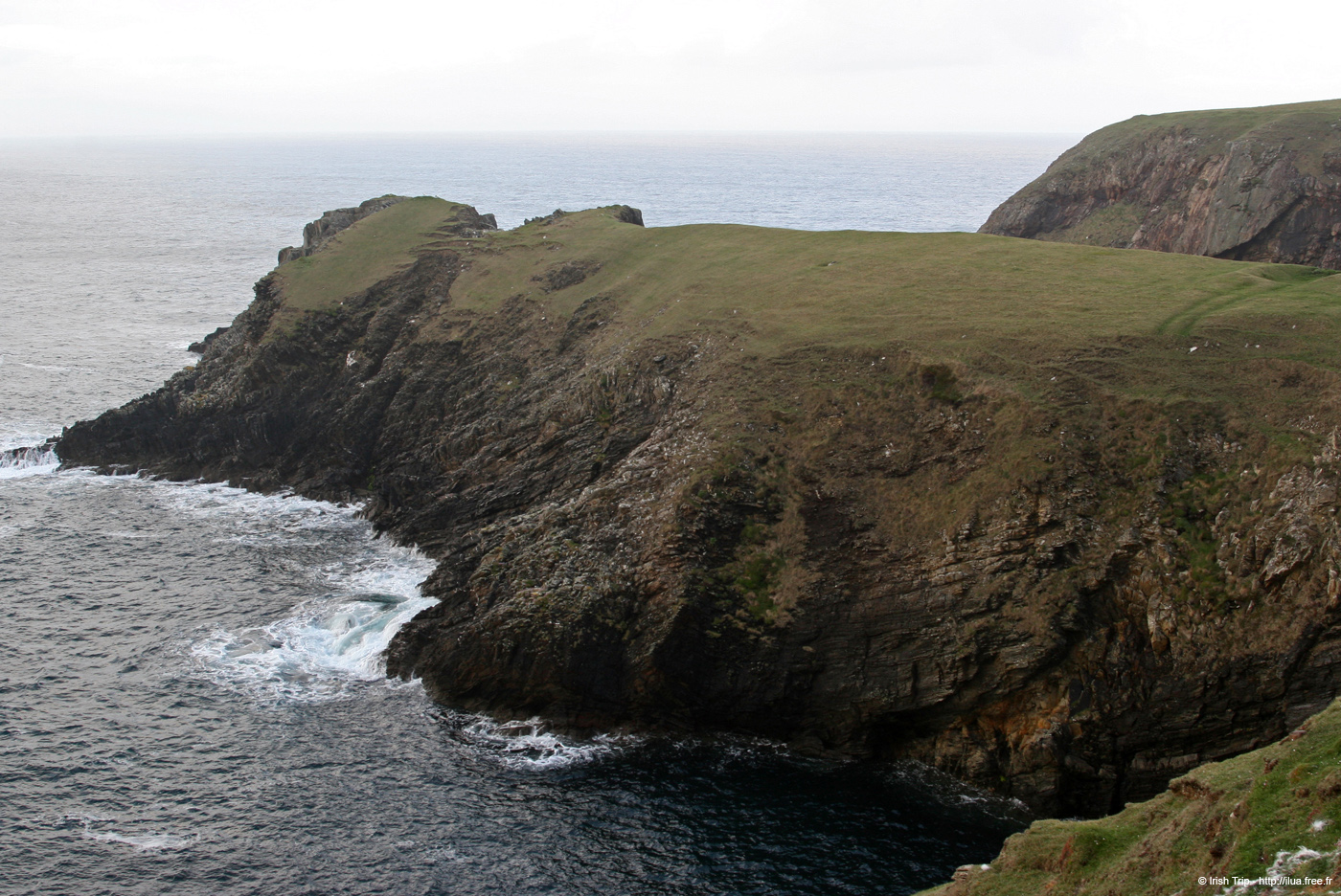 20090428_tharalpoint02