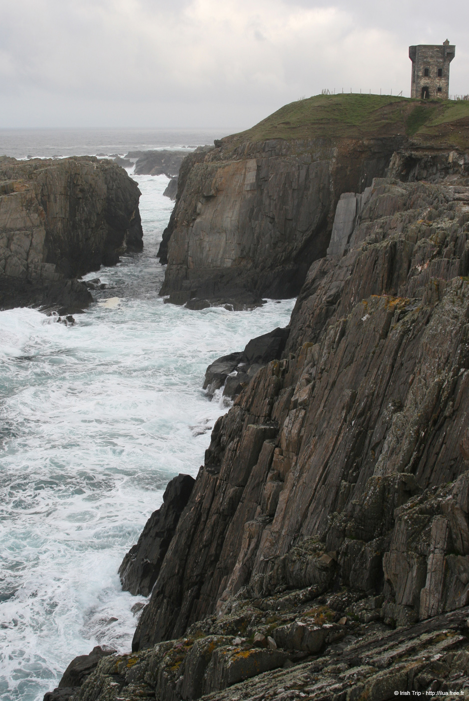 20090428_tharalpoint06