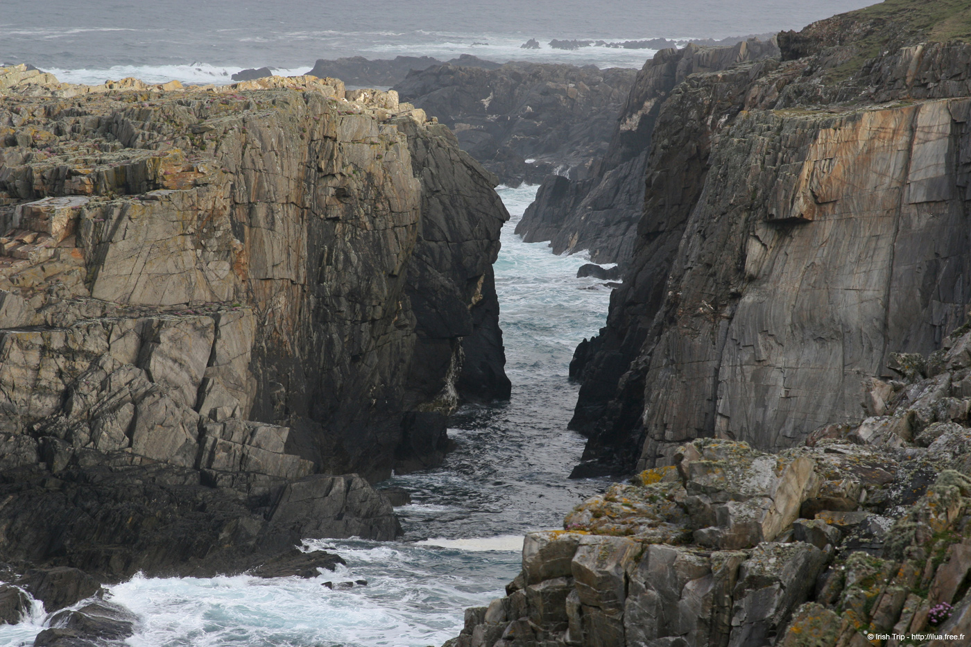 20090428_tharalpoint07