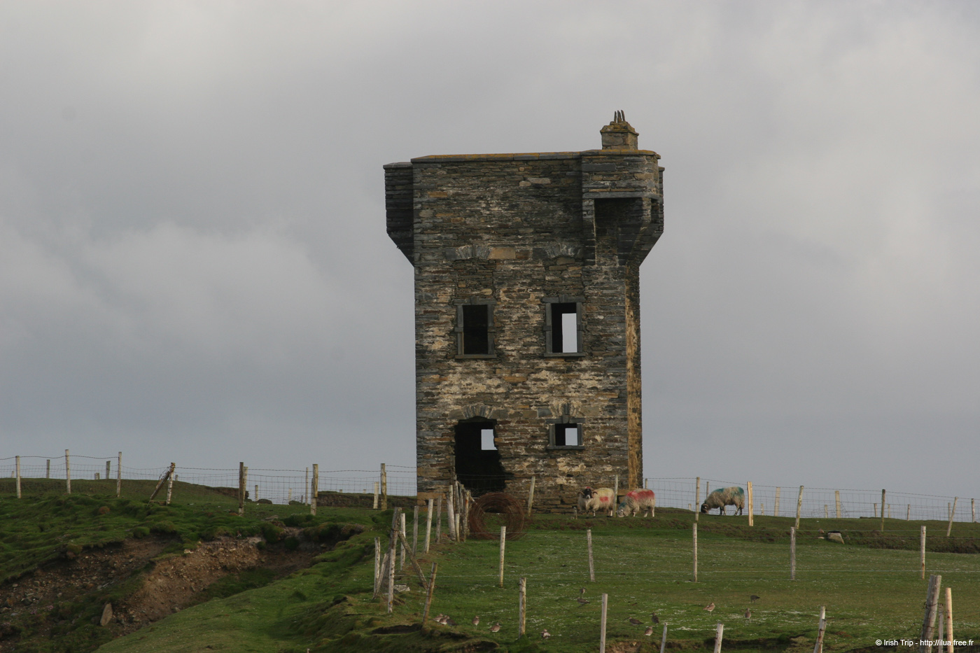 20090428_tharalpoint08