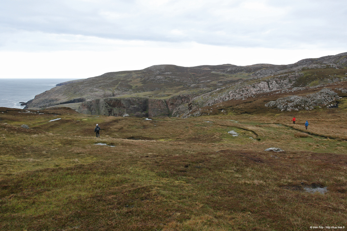 20090429_cronagan04
