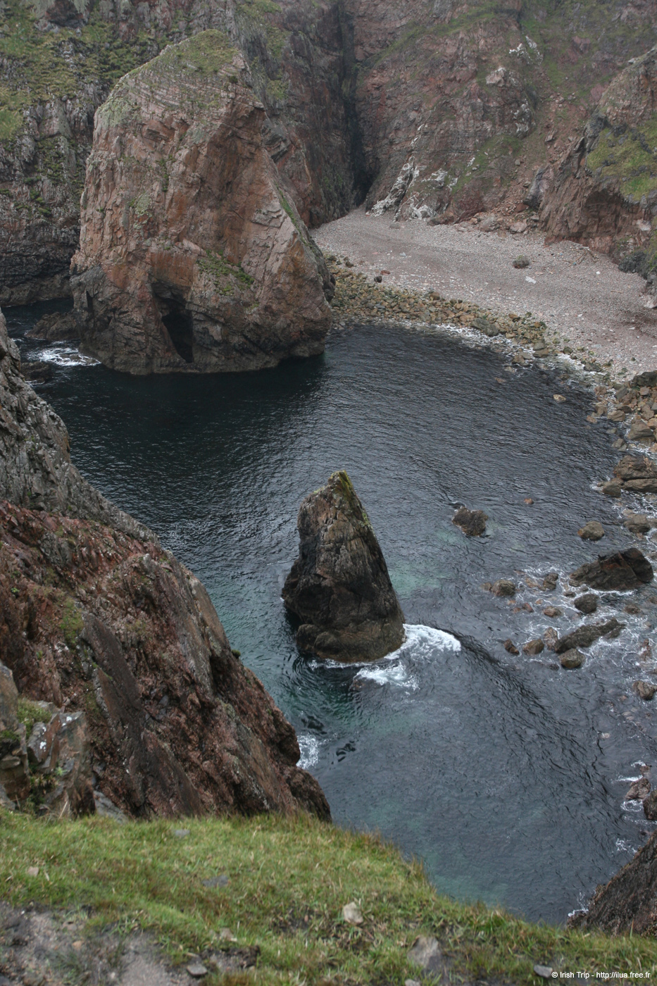 20090429_cronagan10