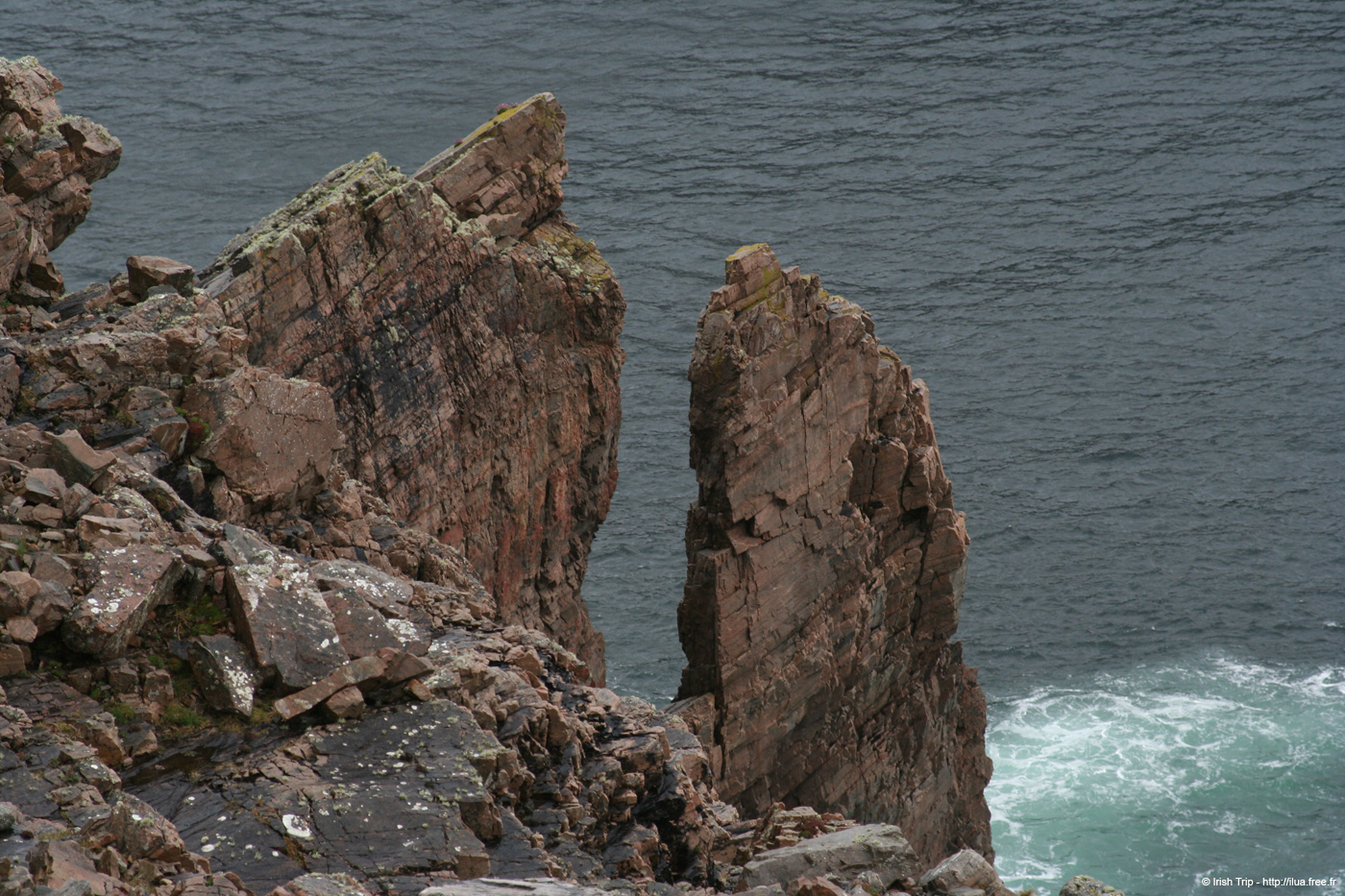20090429_cronagan17