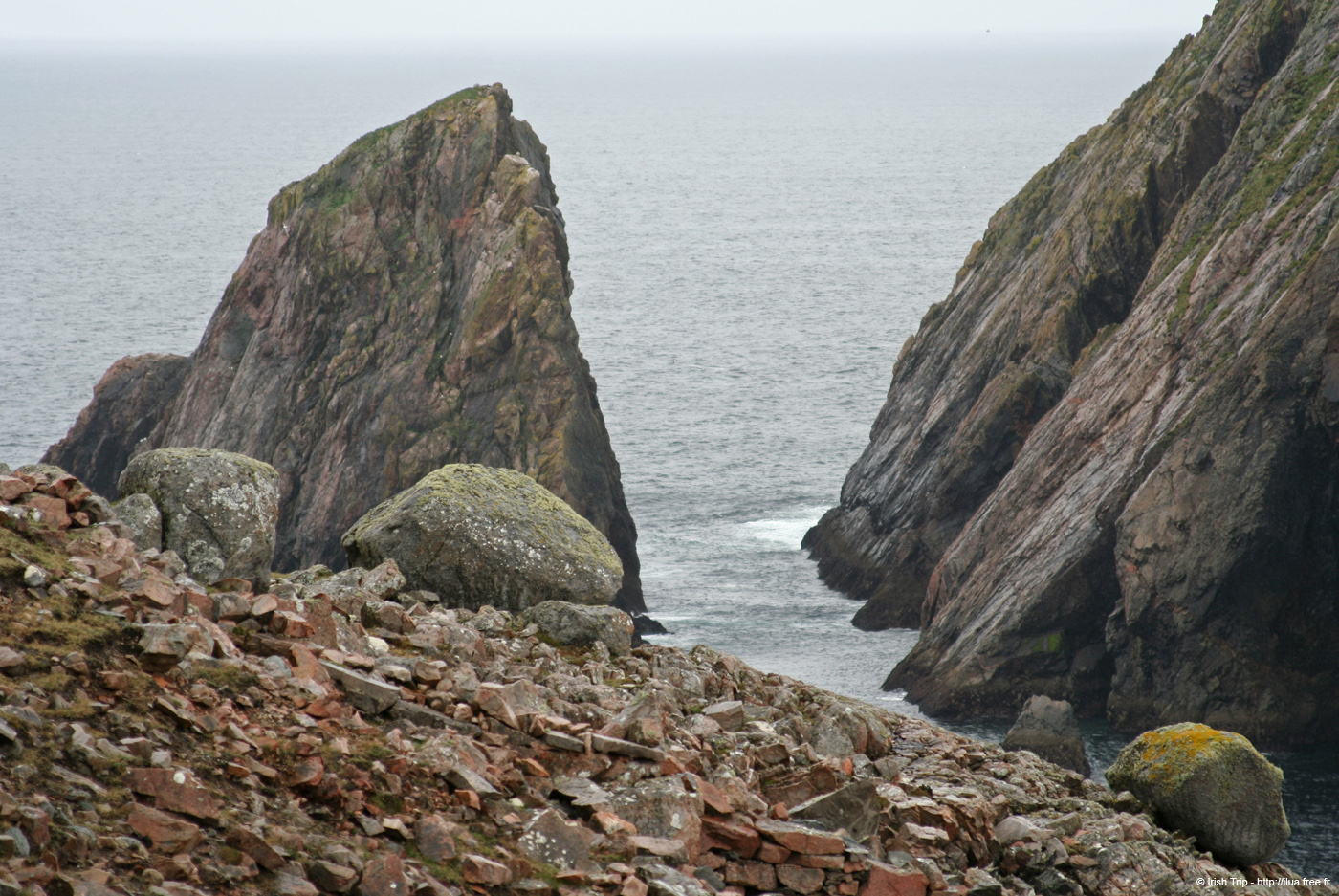 20090429_cronagan29torboy