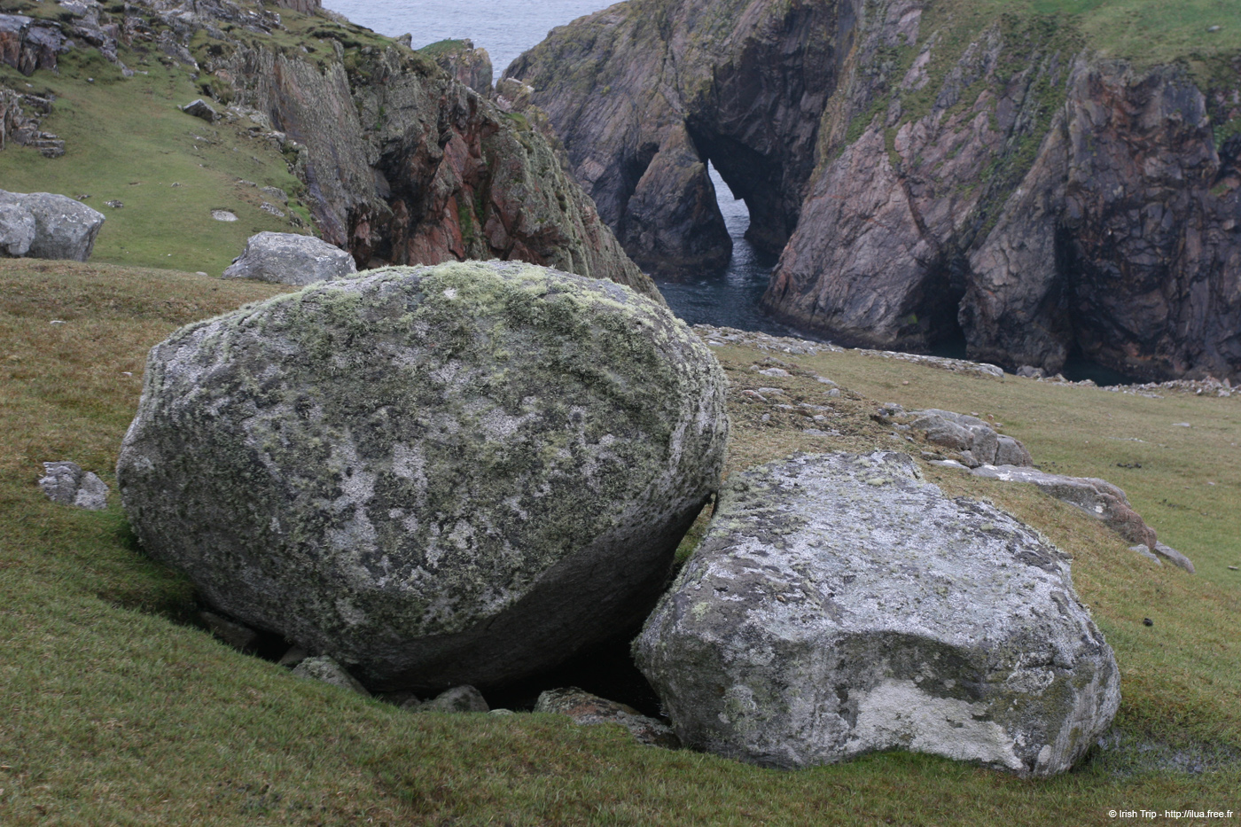 20090429_cronagan33torboy