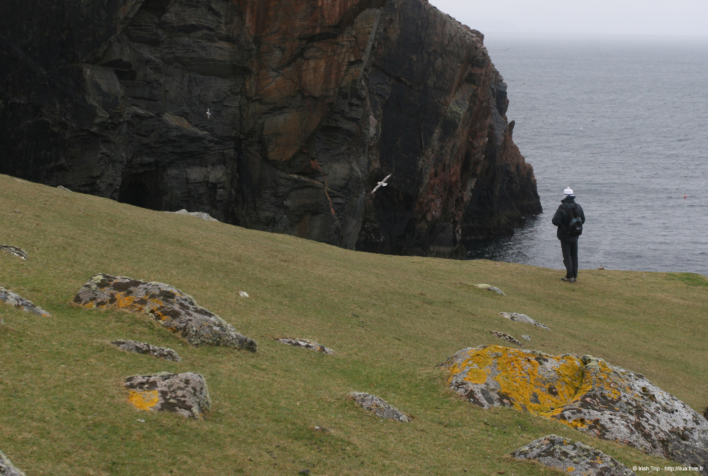20090429_cronagan36