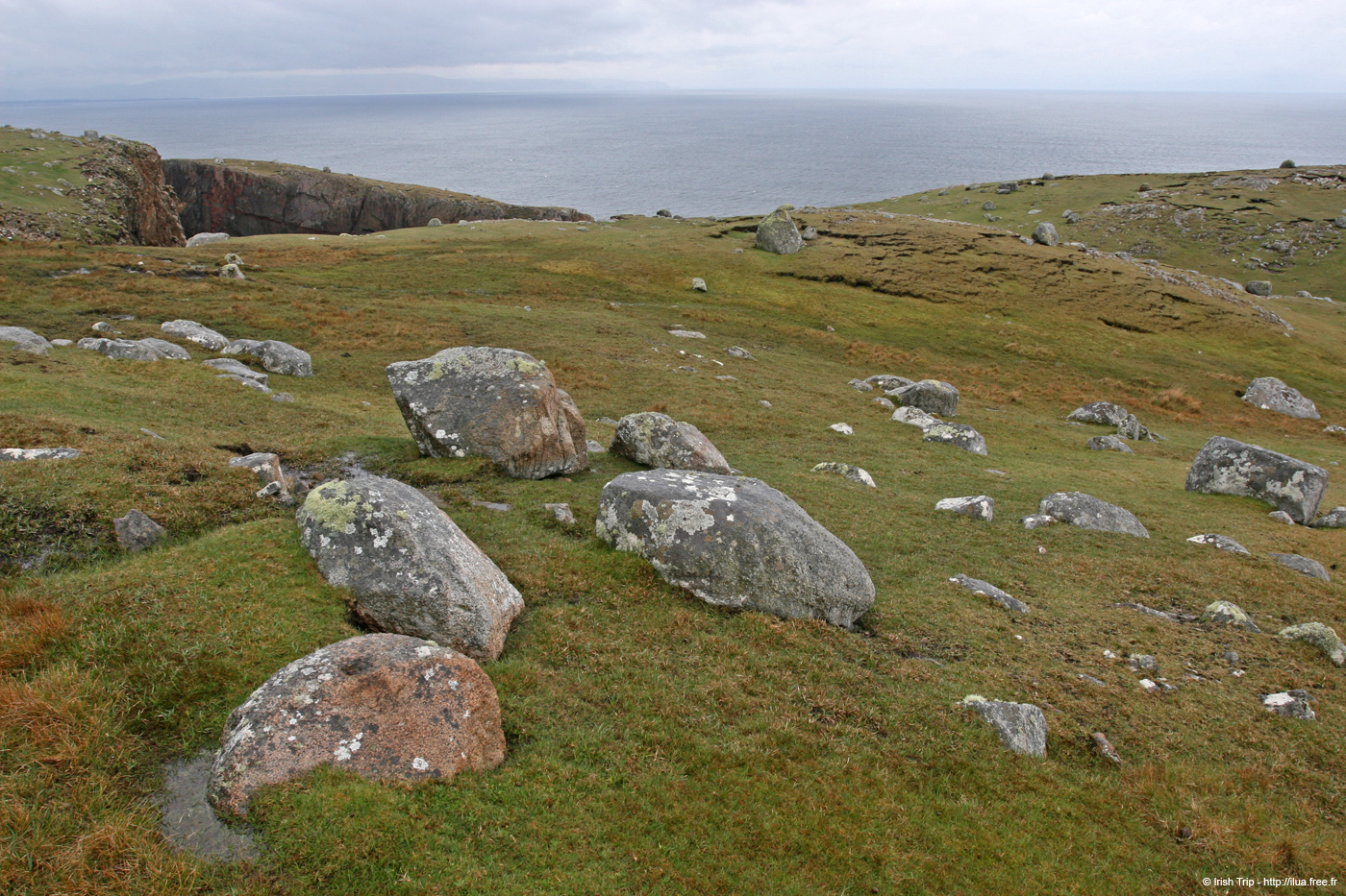 20090429_cronagan38