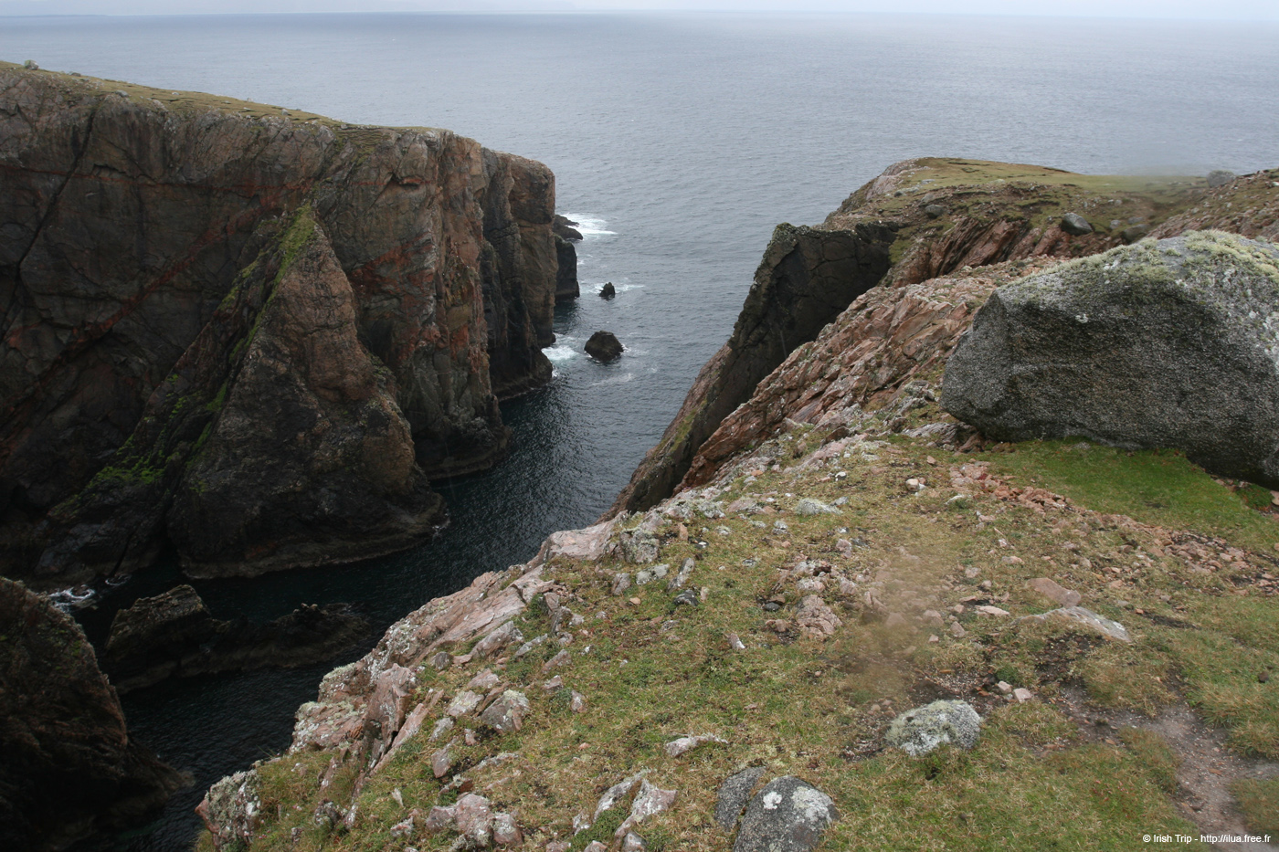 20090429_cronagan44