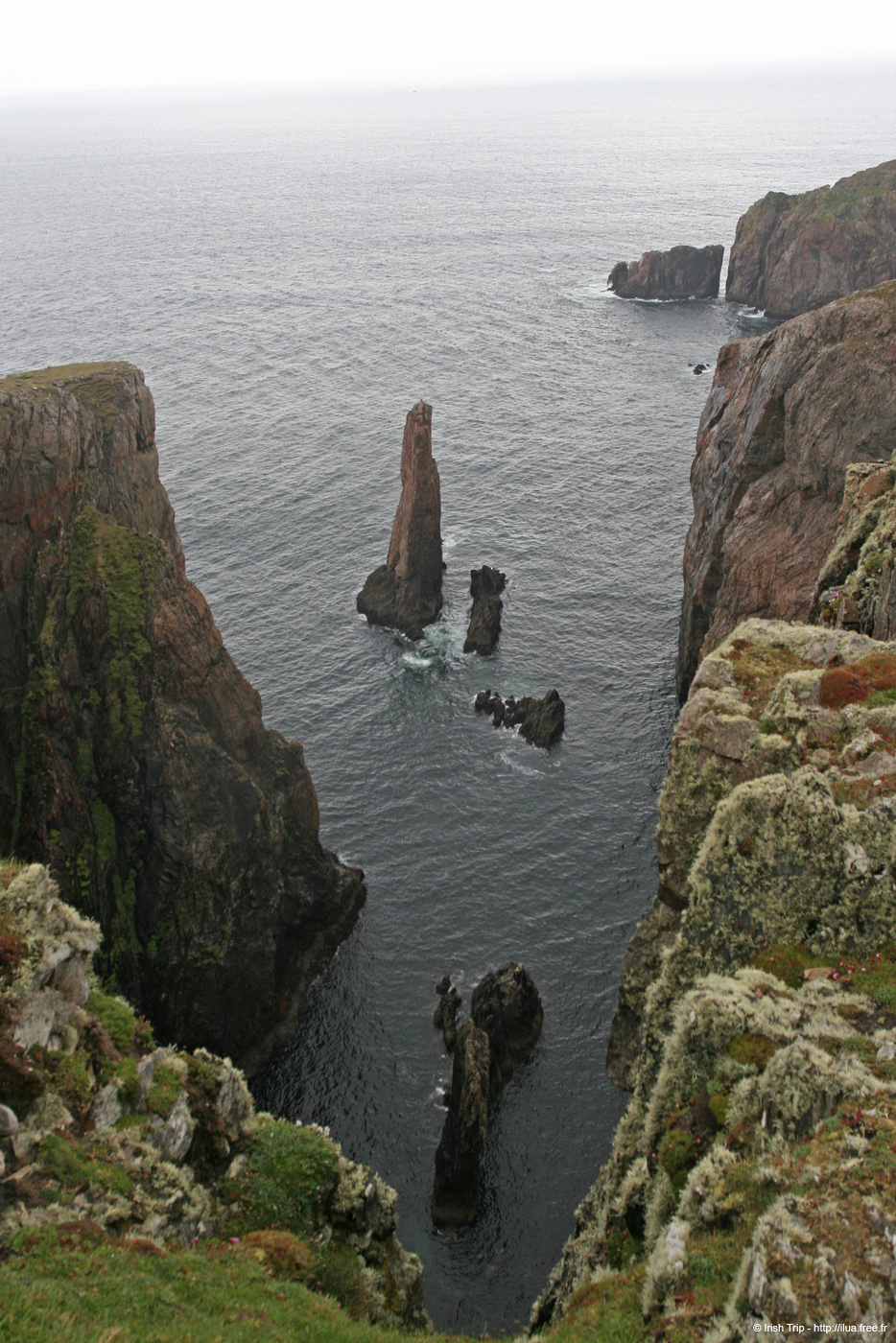 20090429_cronagan47