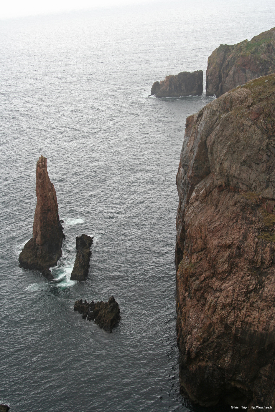 20090429_cronagan48