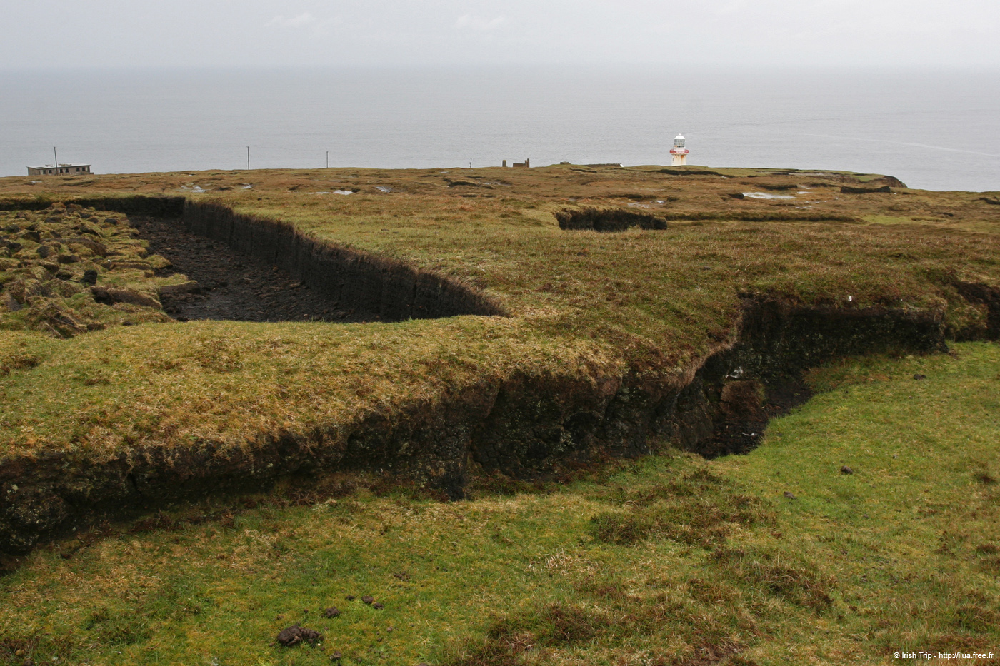 20090429_rinrawrosbogs04