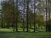 20090427_cavan04