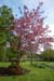 20090427_cavan05