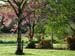 20090427_cavan06