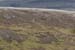 20090427_sliabhliag074