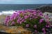 20090427_stjohnpoint06