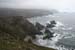20090428_porthill66