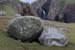 20090429_cronagan33torboy