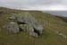 20090429_cronagan41