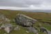 20090429_cronagan42