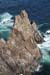 20090430_rinrawrosbay26