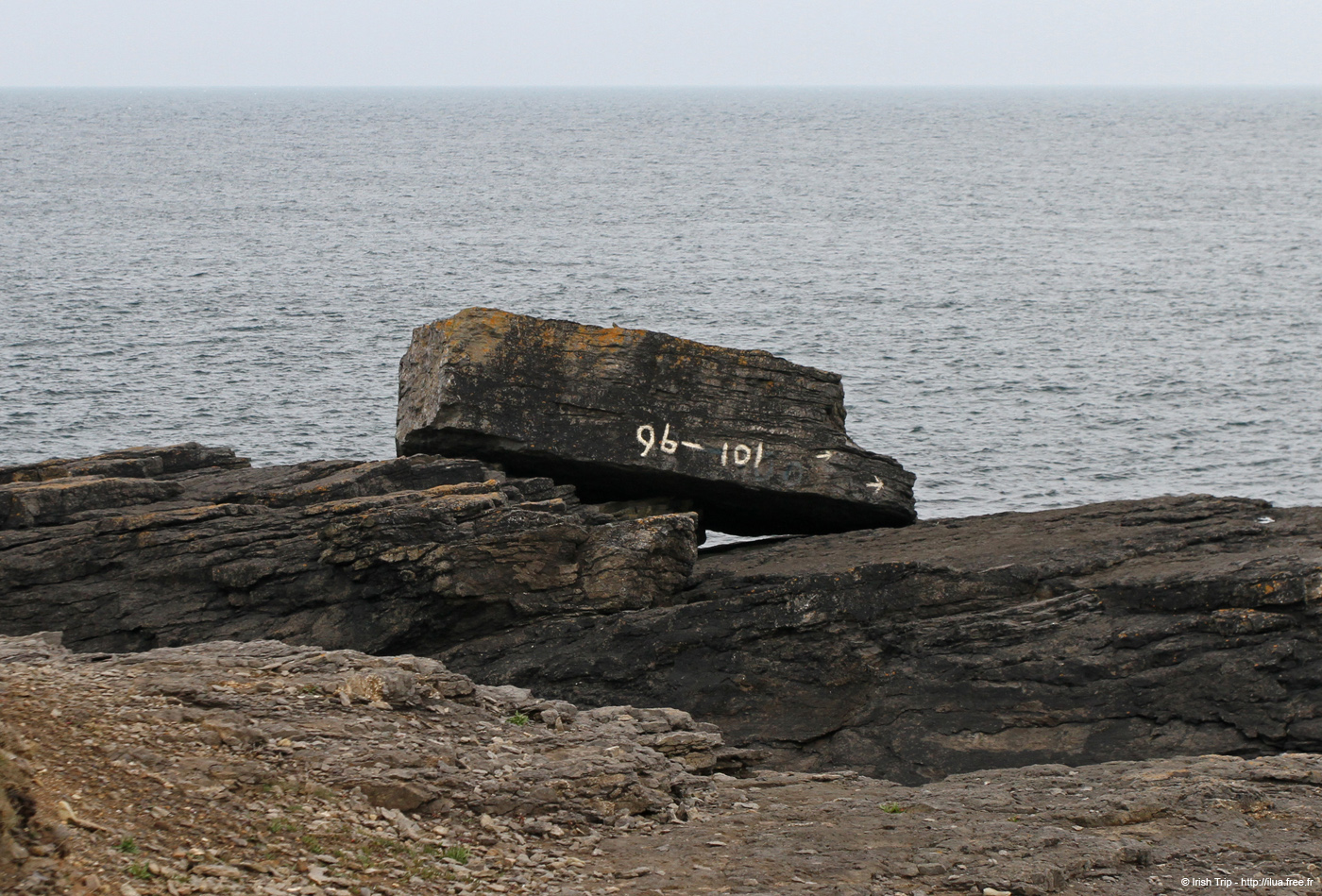 20120504_hookheadcoast16