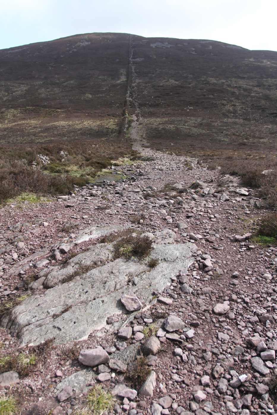 20120505_sugarloafhillpath2