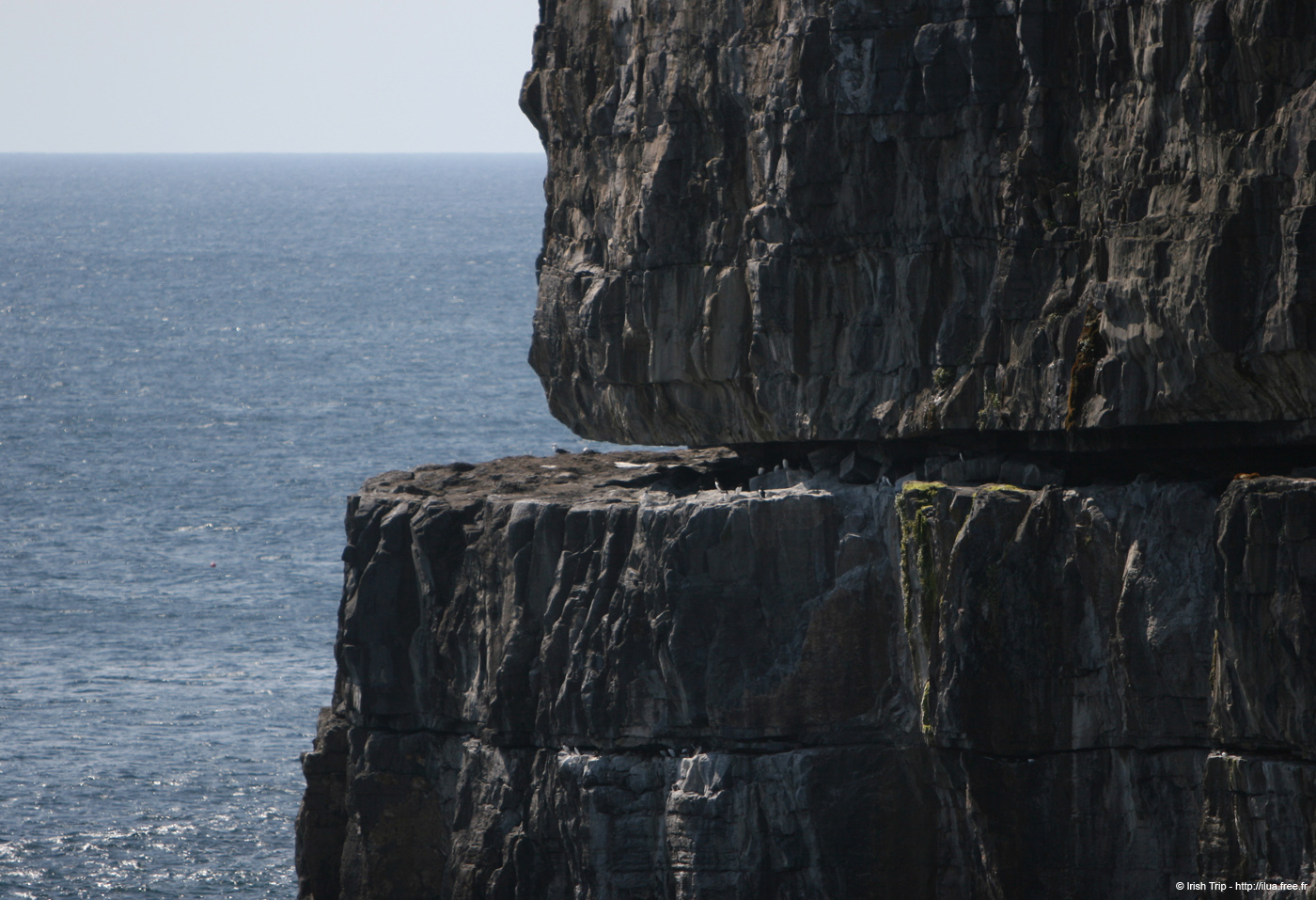 20120506_arandunaonghasacliffs11