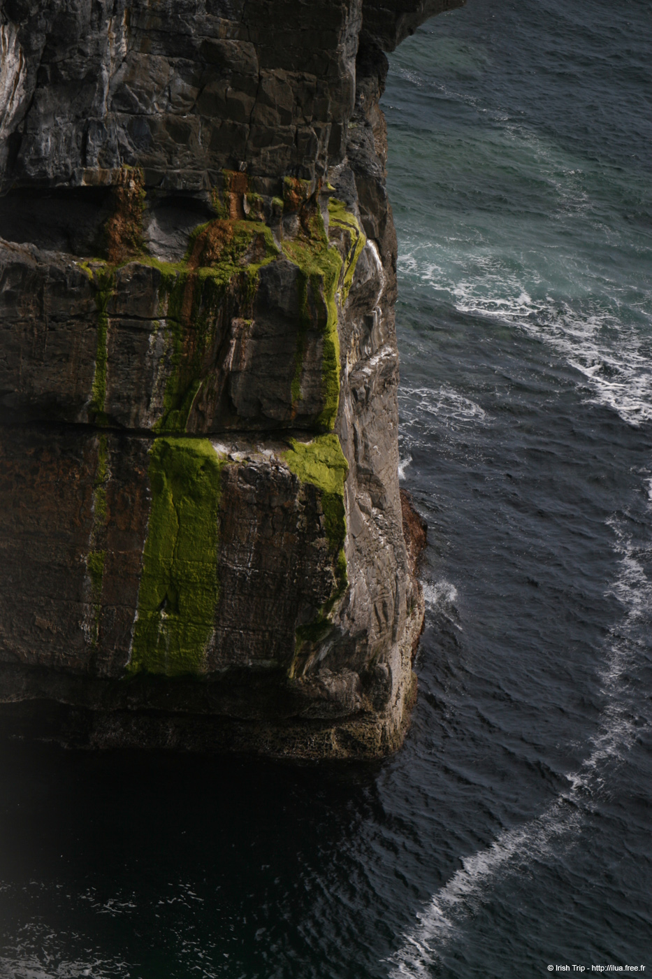 20120506_arandunaonghasacliffs21