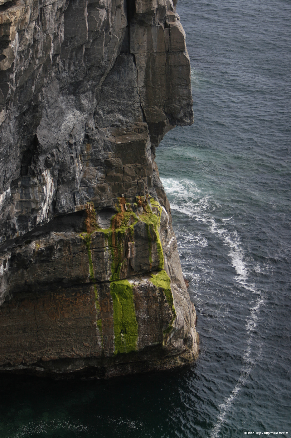 20120506_arandunaonghasacliffs22