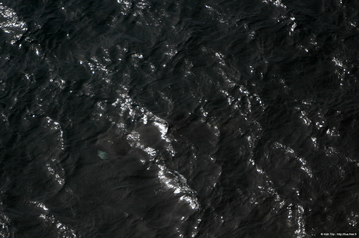 20120506_arandunaonghasasharkfromcliffs21