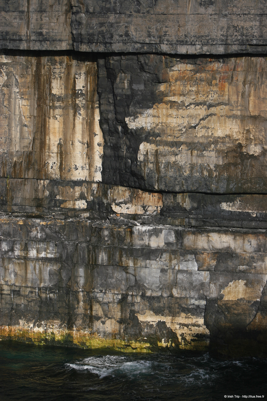 20120508_arannalheaheadcliffsface2