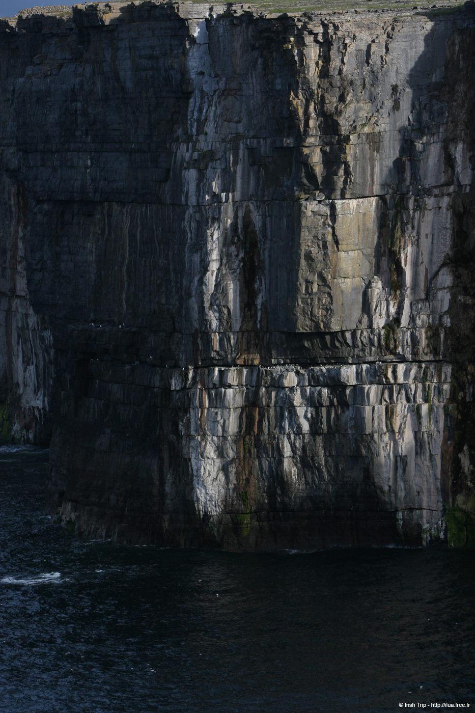 20120508_arannalheaheadcliffsface4
