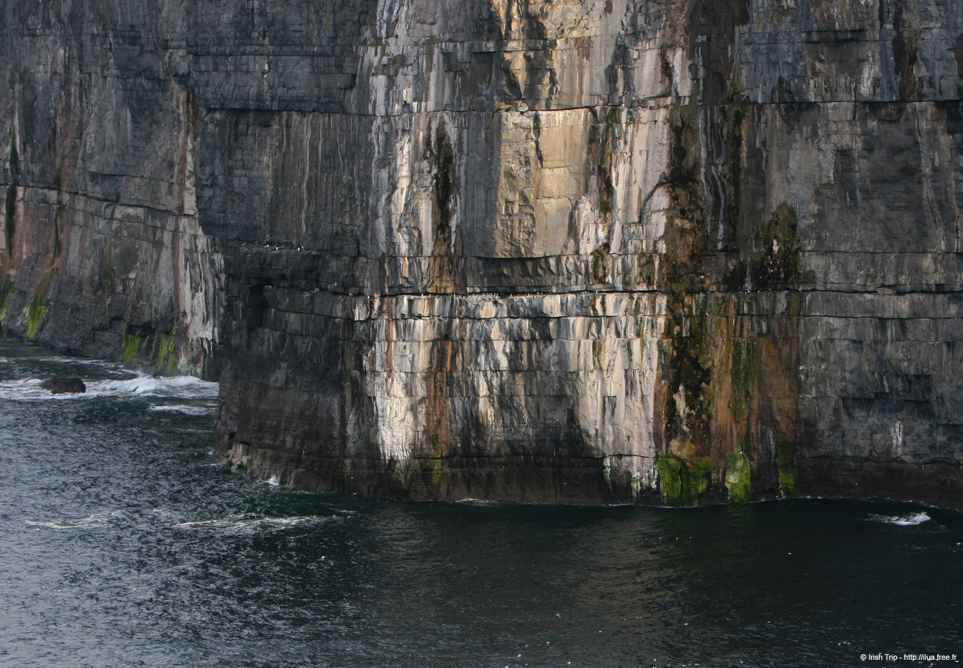 20120508_arannalheaheadcliffsface5