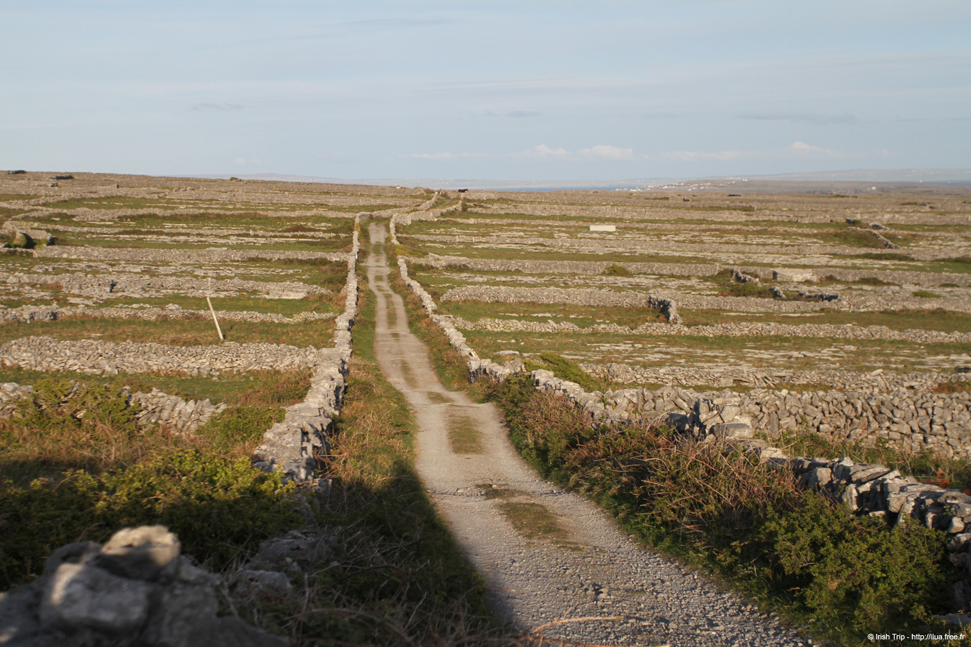 20120508_aranoghillcentralpath03