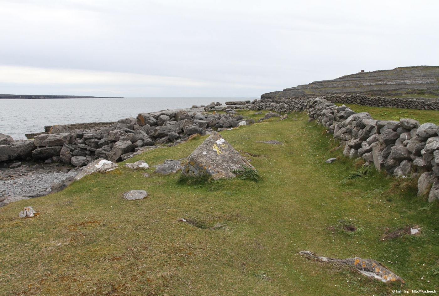 20120509_aranculoogarrow01