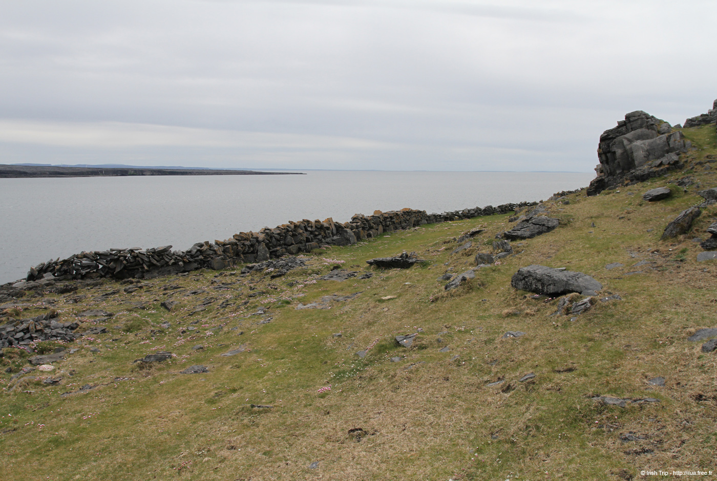 20120509_aranculoogarrow02
