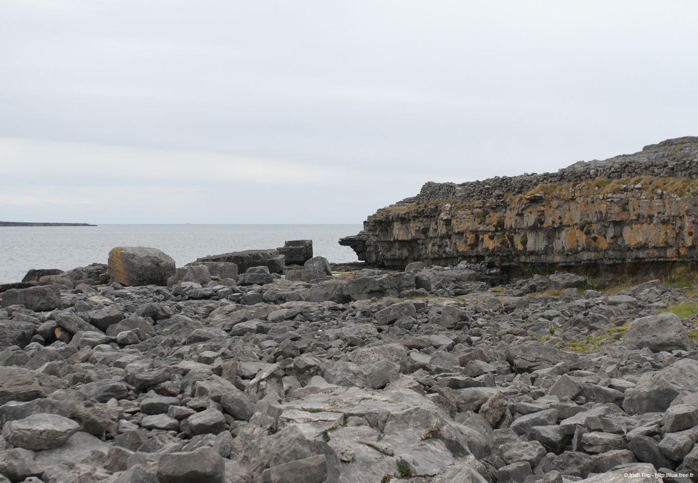 20120509_aranculoogarrow03