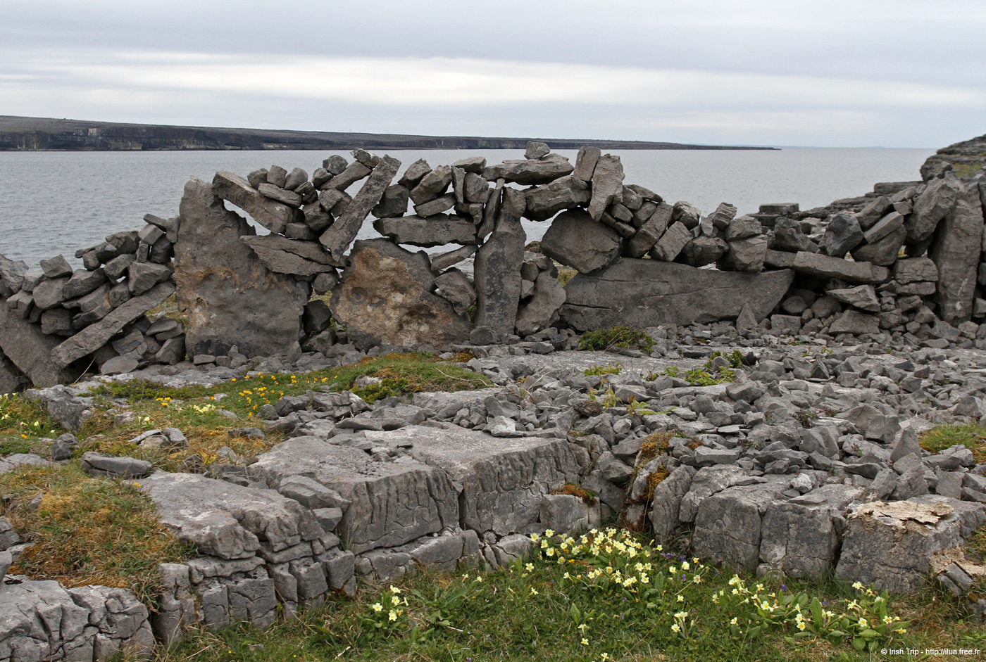 20120509_aranculoogarrow09