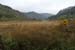 20120504_glendalough_lowerlakevalley21