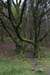 20120504_glendalough_park02