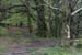 20120504_glendalough_park03
